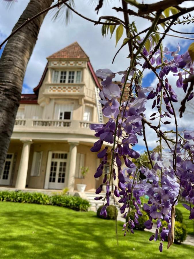 Casa Villa Julia 蒂格雷 外观 照片